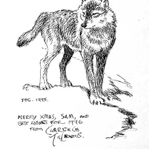 Wolf by Clarence Tillenious, Image 1.