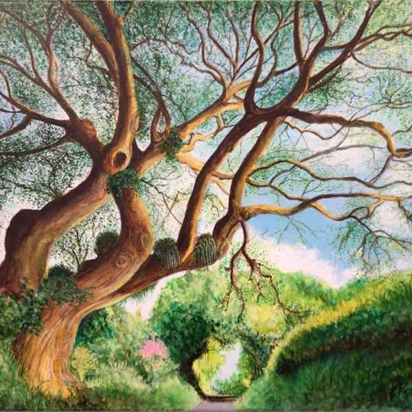 Kohala Backroad by Kathleen Provazek, Image 2.