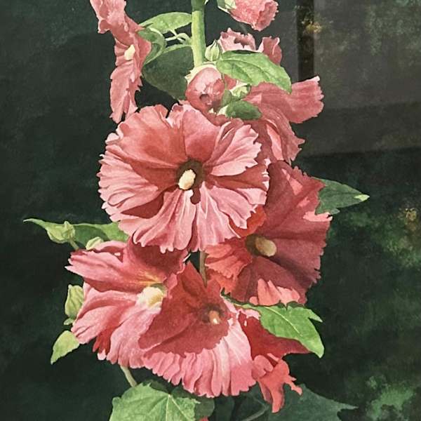 Red Hollyhocks by Robert J. O'Brien, Image 1.
