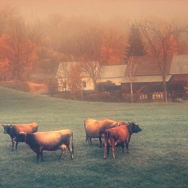 Jersey's in the Mist by Richard W. Brown, Image 8.