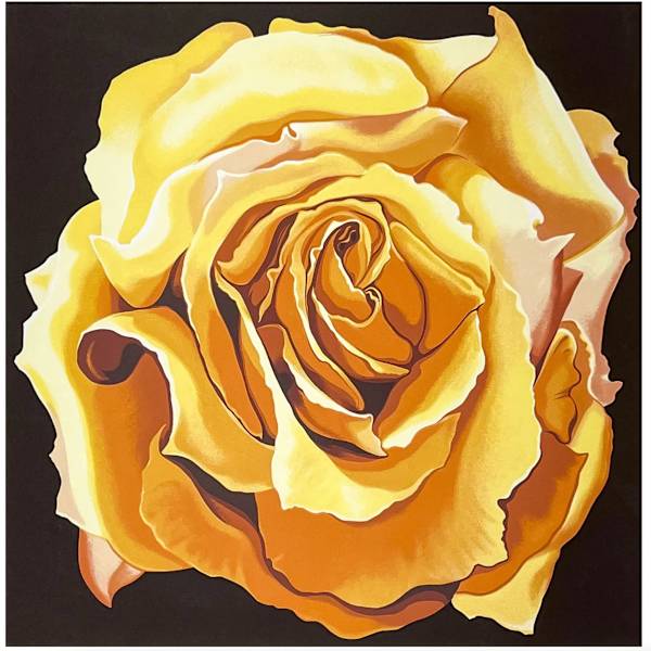 Yellow Rose by Lowell Nesbitt, Image 3.
