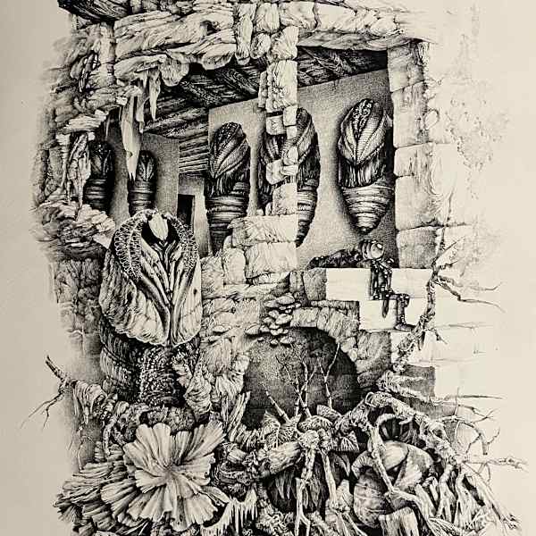 Entomologie by Gérard Gachet, Image 1.