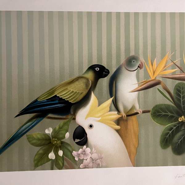 Les visiteurs by Arnaud D'Hauterives, Image 1.