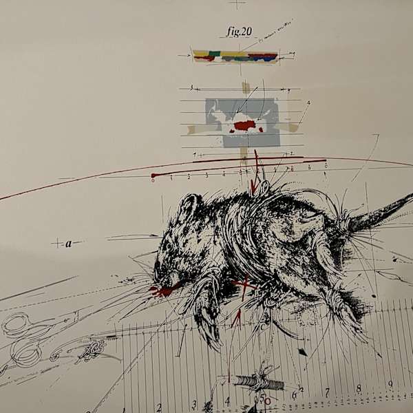 Experience on Rat # 20 by Vladimir Velickovic, Image 4.