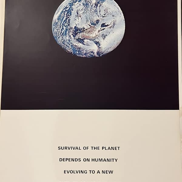 Survival of the planet by Alain Jacquet, Image 3.