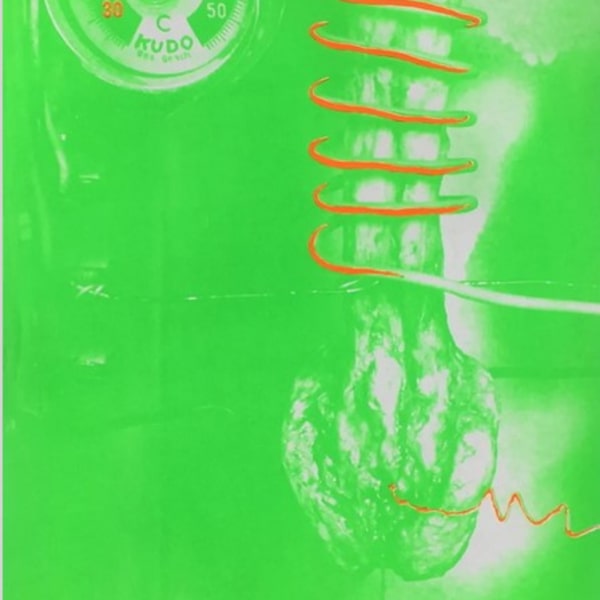 Work by Tetsumi Kudo, Image 1.
