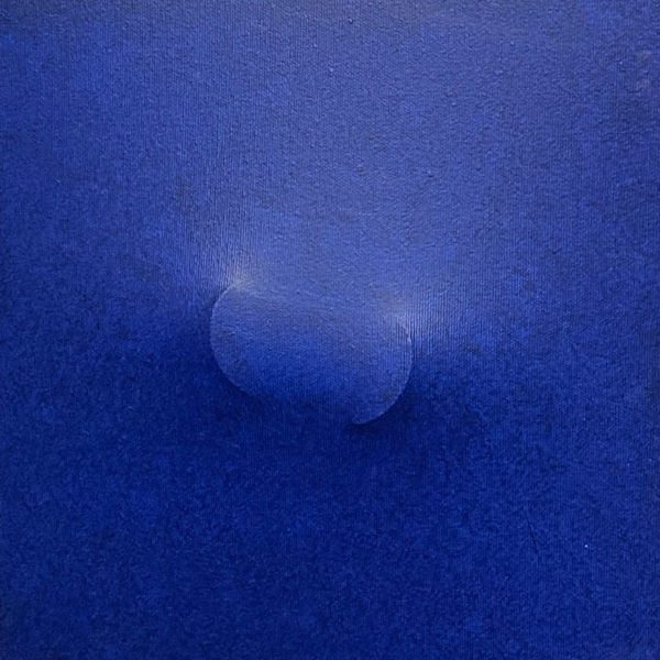 Ovale blu by Turi Simeti (1929-2021), Image 1.