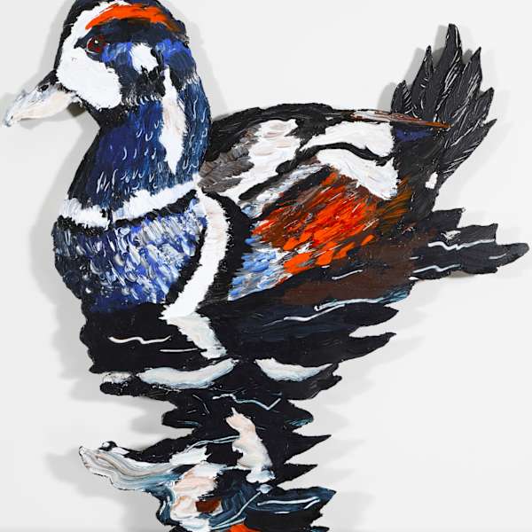 Harlequin by Roger Kizik, Image 1.