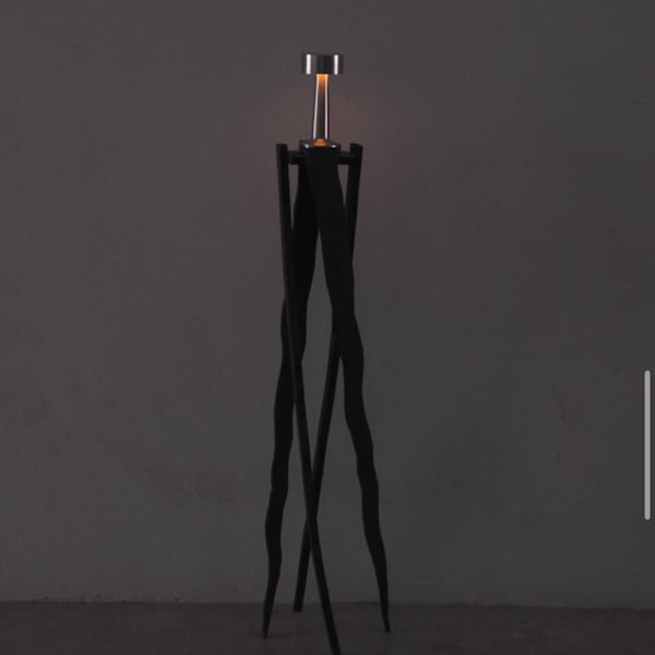 Spider Legs by Diego Santiago, Image 1.