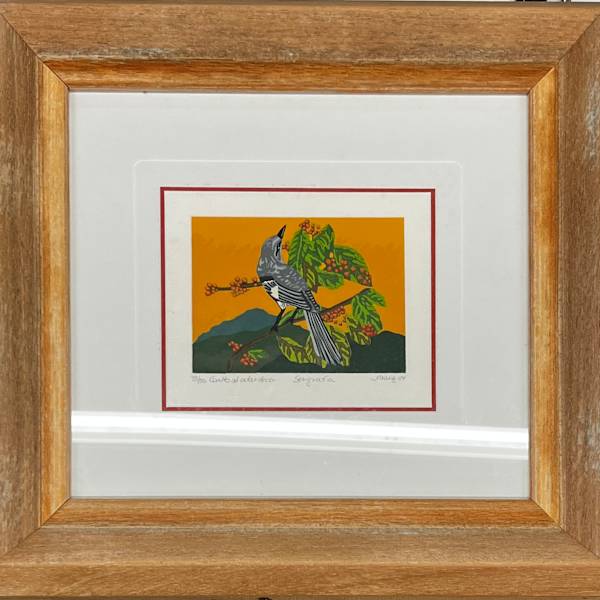 Canto al atardecer by J Ibañez, Image 1.