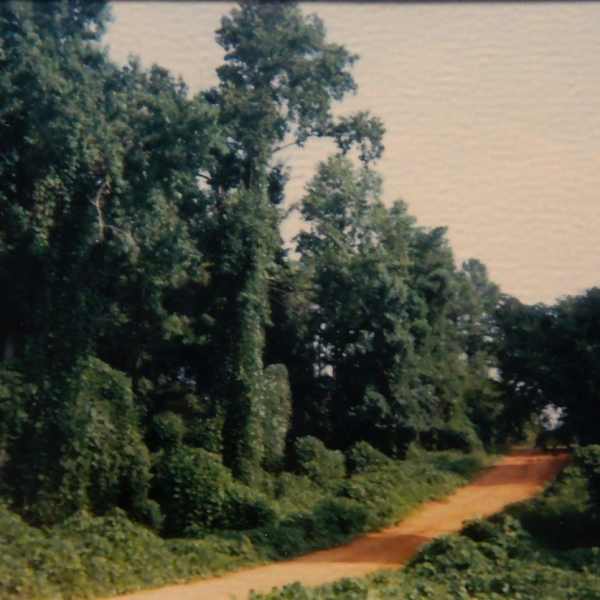 Red Clay and Kudzu by William Christenberry, Image 9.