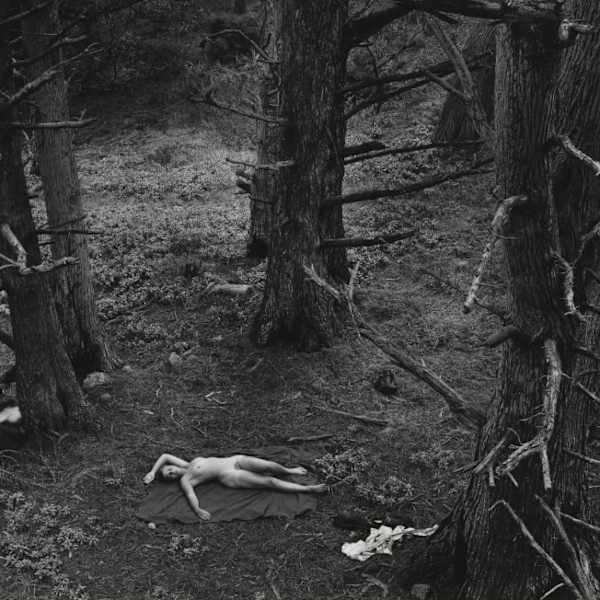 Woman and Dog in Forest by Wynn Bullock, Image 1.
