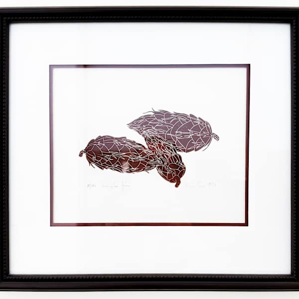 Douglas Fir by Henry Evans, Image 1.