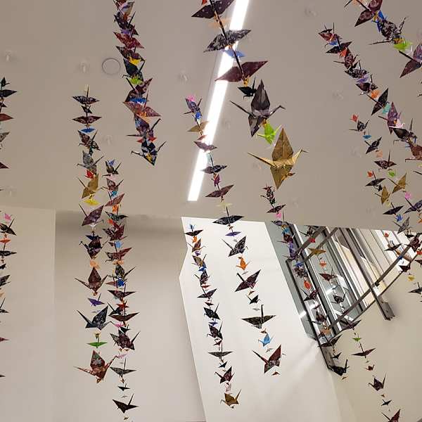 Thousand Cranes by Alexandra Faulkner, Image 1.