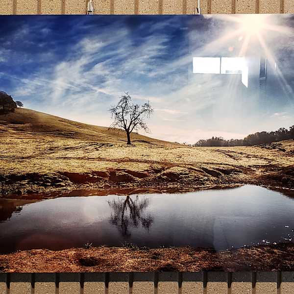Nature's Mirror by Stephanie Guilin, Image 1.