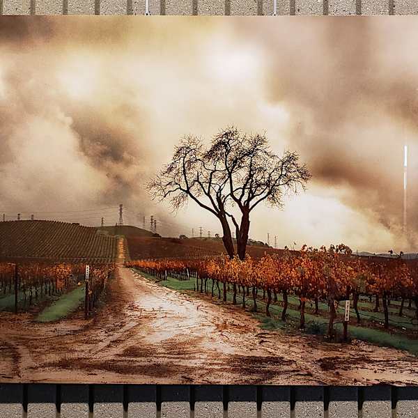 Golden Sunset by Stephanie Guilin, Image 1.
