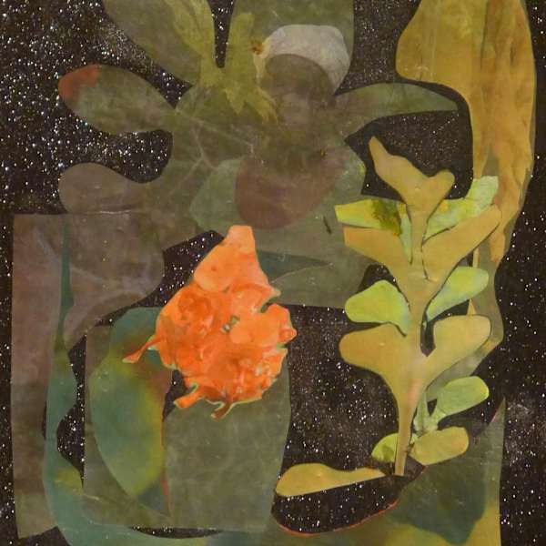 Bush have eyes by Jacqueline Bishop, Image 1.
