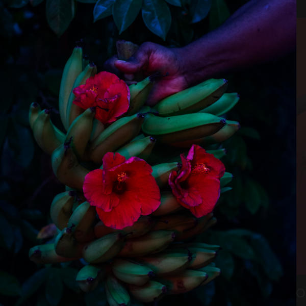 Fruits of Our Mother’s Labor #3 by Cornelius Tulloch, Image 1.