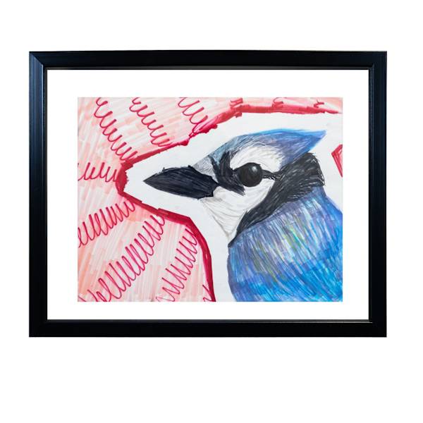 Bluejay/ Geai Blue by EMG, Image 12.