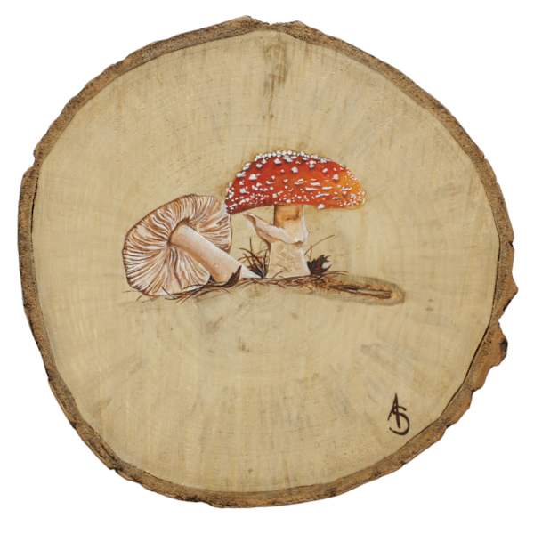 Growth by Alyssa Stapley, Image 1.