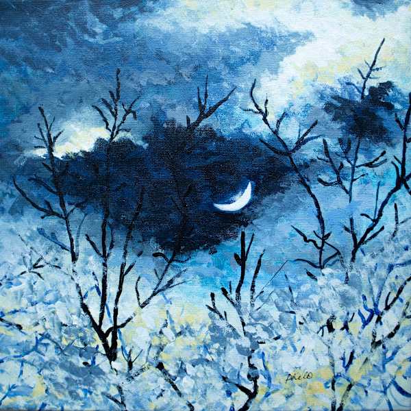 Partial Solar Eclipse by phelo, Image 1.