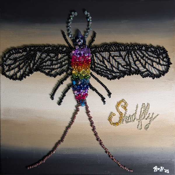 Shadfly by Bobbie Hayes, Image 1.