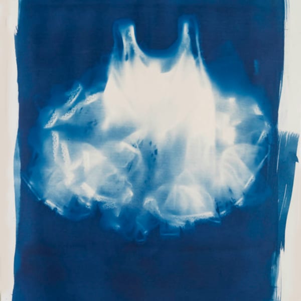 Tutu by Eileen Brady Nelson, Image 1.