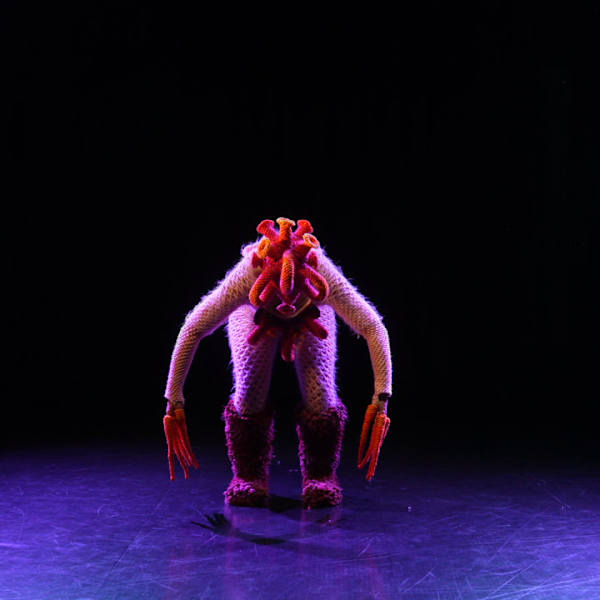 Timmy by Louisa MAGRICS, Niki SCHILD, Image 1.