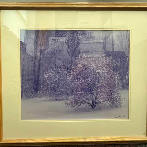 Unknown by Terry O'Neil, Image 1.