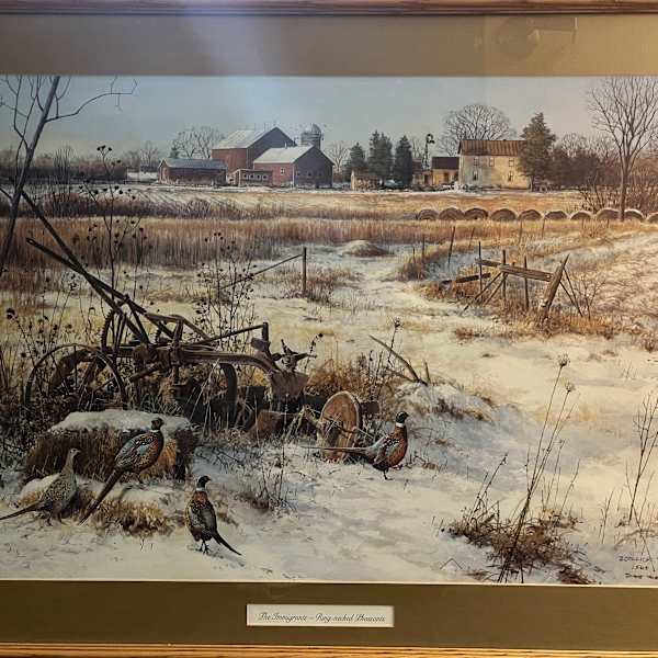 The Immigrants- Ring-Necked Pheasants by Scott Zoellick, Image 1.