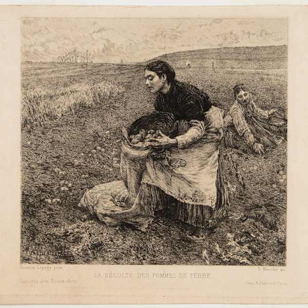La Recolte des Pommes de Terre by Felix Bracquemond, Image 2.