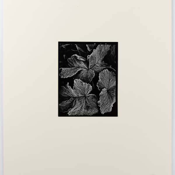 Untitled California by Oliver Gagliani, Image 2.