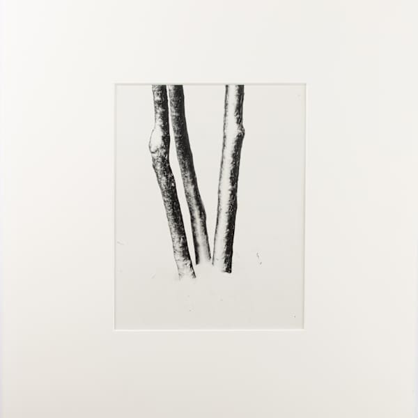 Untitled by Harry Callahan, Image 1.