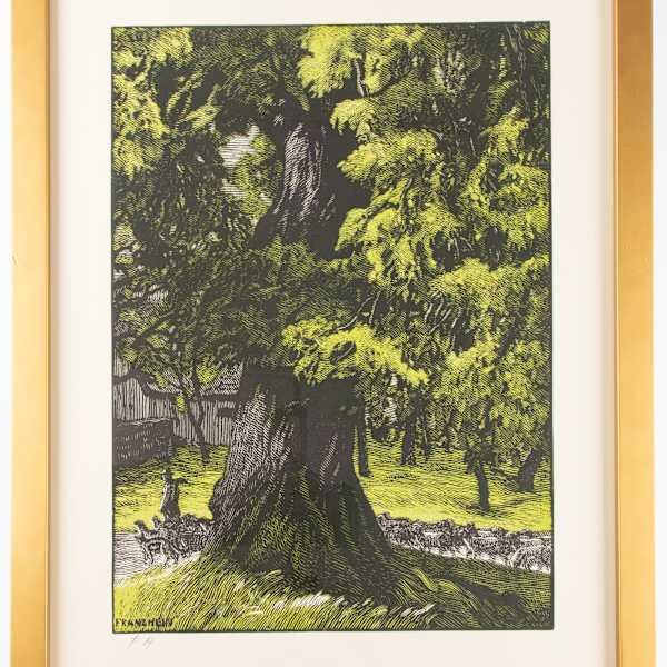 Baume: Linde (Linden Trees) by Franz Hein, Image 3.
