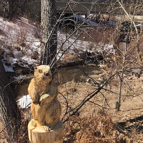 Billy's Beaver by Bill LaFleur, Image 1.