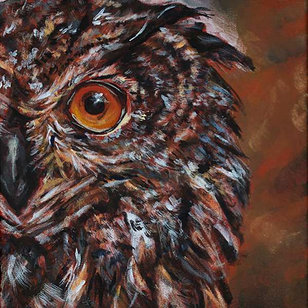I Got My Eye On You by Kelly Coates, Image 1.