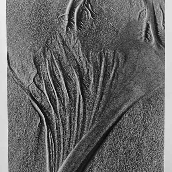 Reaching by Carol Chu, Image 1.