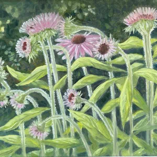 Early Summer Coneflowers by Lynn Slonaker, Image 1.