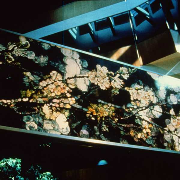 Black Spring by Joseph Raffael, Image 1.