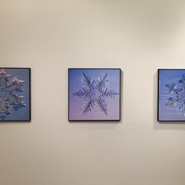 Snow Crystals by Kenneth Libbrecht, Image 1.