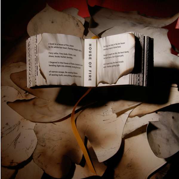 House of Fire by Judy Anderson, Ginny Hoyle, Image 1.
