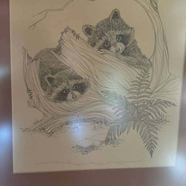 “Raccoons in the Forest” by Unknown, Image 1.