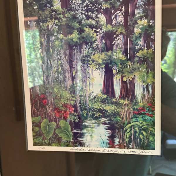 “Atchaflaya Swamp” by Dianne Parks, Image 1.