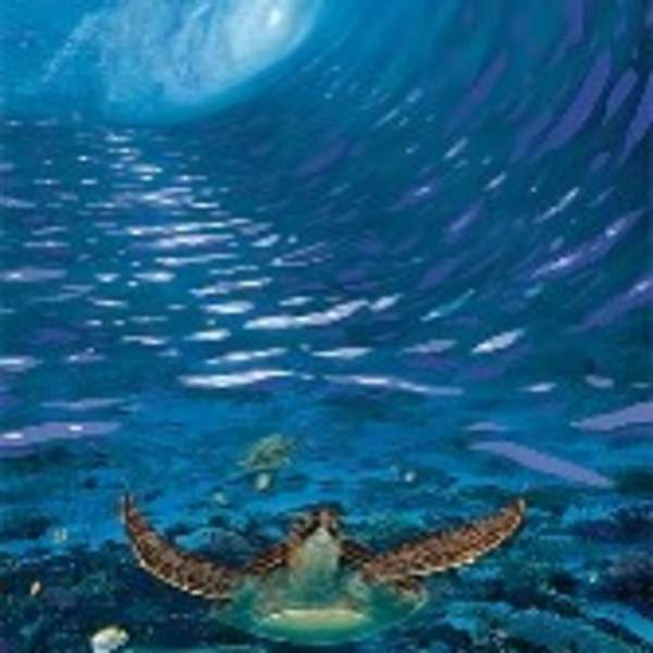 "Turtle Time" by Robert Wyland, Image 6.
