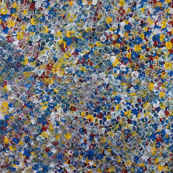 Bush plum Dreaming by Belinda Golder Kngwarreye, Image 1.