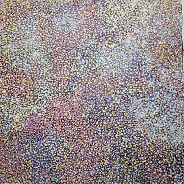 Bush Plum Dreaming by Elizabeth Dixon Kemarre, Image 1.