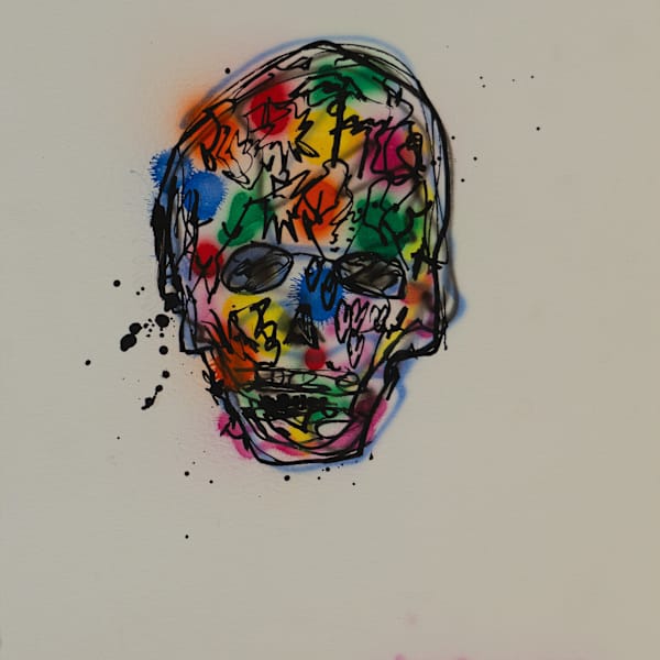 Skull by Gregory Siff, Image 1.