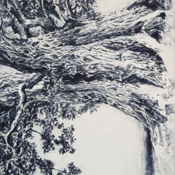 IMG_6032 (The Oak) by Johnny Höglund, Image 2.