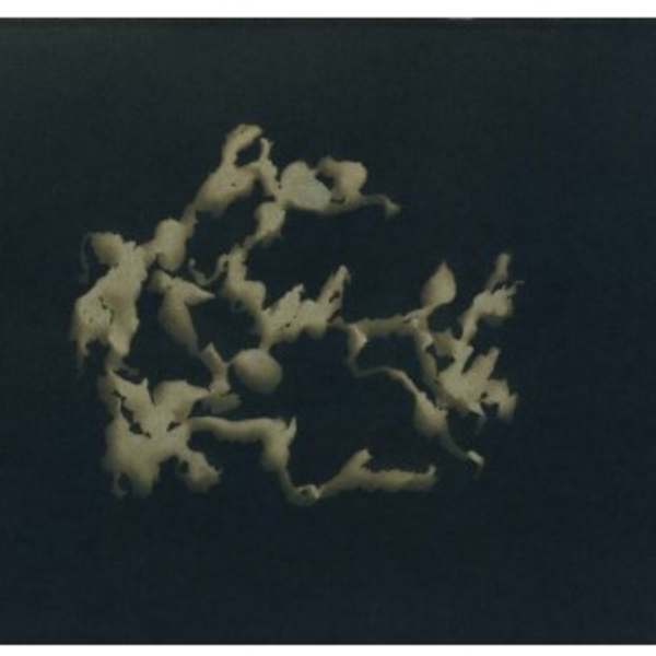 Fucus vesiculosus III by Cecilia Ömalm, Image 1.