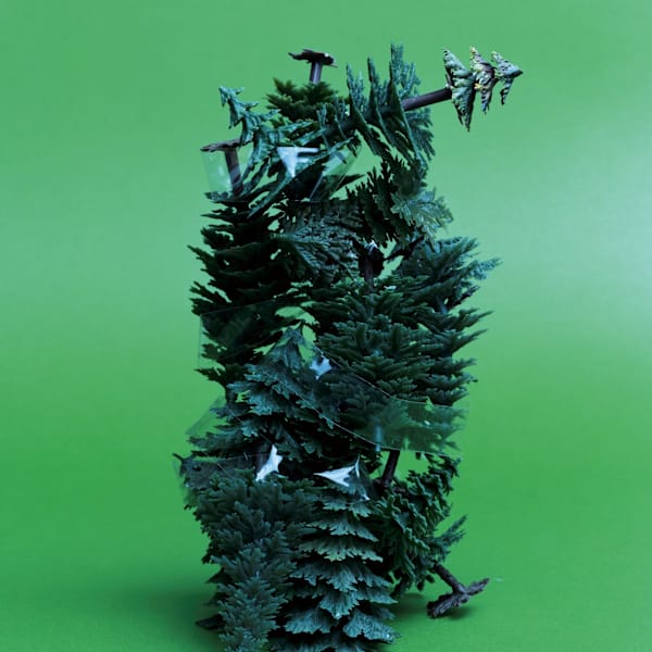 Hypnotic Forest by Anna Kleberg Tham, Image 2.